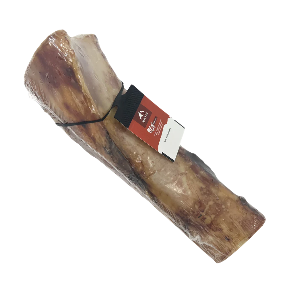 BULK BIN 5"-6" Bison Marrow Bone