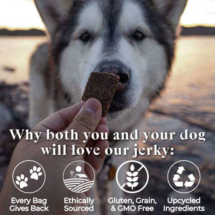 Wild Things Elk Recipe Jerky For Dogs